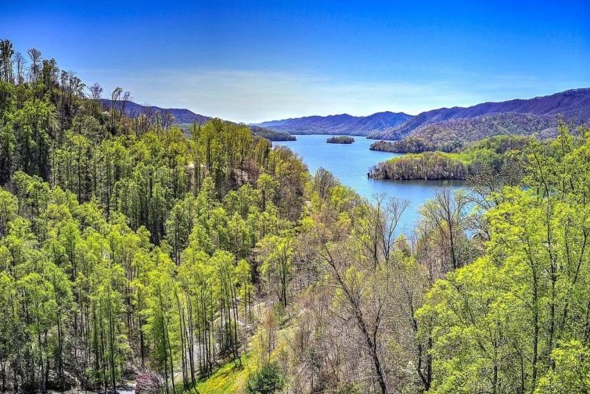 Iron Mountain Lodge - Beautiful Cabin With Forest & Mountain Views! Butler Екстер'єр фото