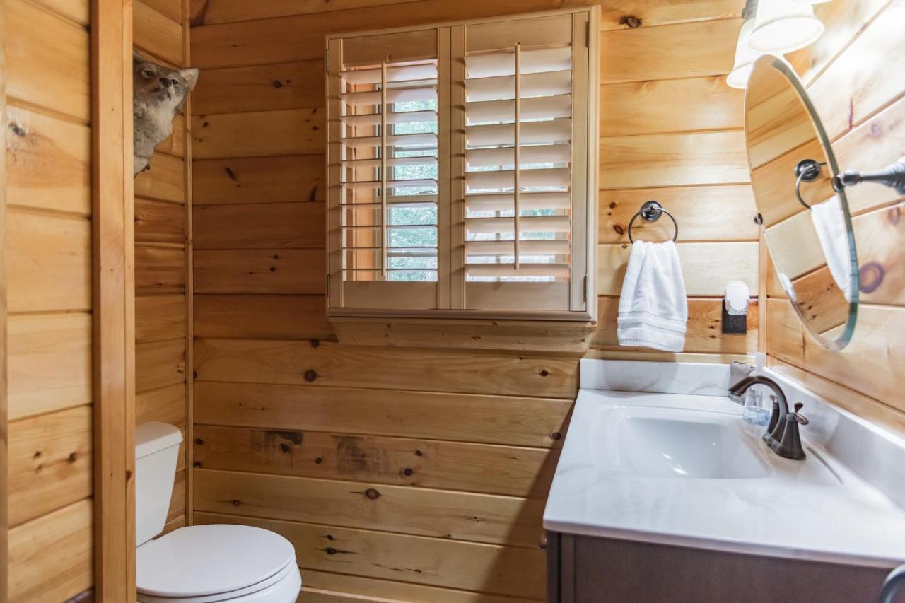 Iron Mountain Lodge - Beautiful Cabin With Forest & Mountain Views! Butler Екстер'єр фото